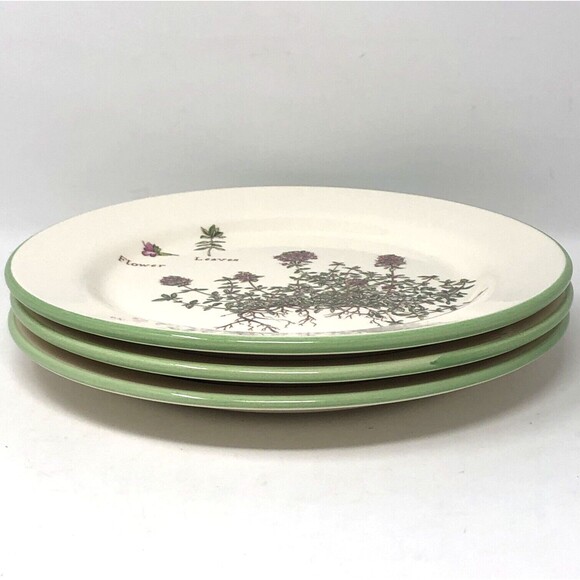 Williams Sonoma Culinary Herbs Luncheon Plates 8.75" Salad Portugal Set of 3 - Picture 8 of 12